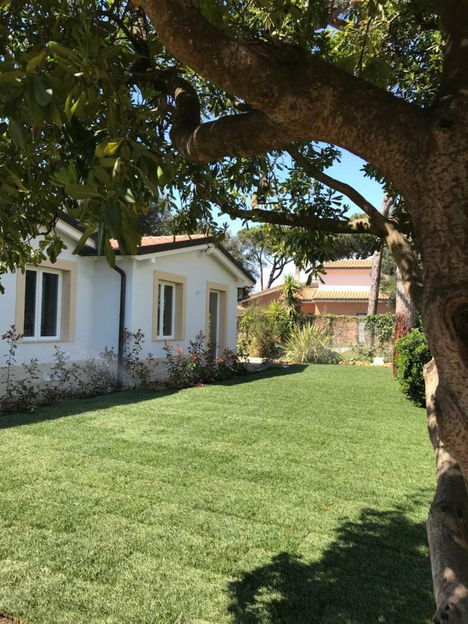 Il Miraggio Hotel Fregenae Luaran gambar