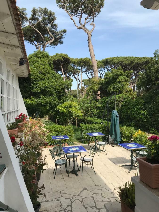 Il Miraggio Hotel Fregenae Luaran gambar